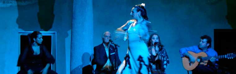 Grupo flamenco durante una actuación