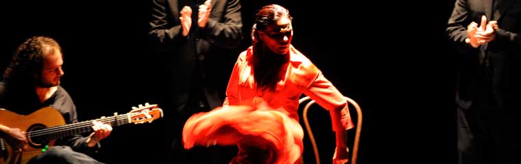 guitarrista y bailaora flamenca