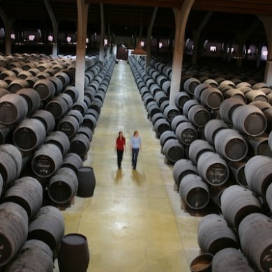 paseando entre barricas de vino