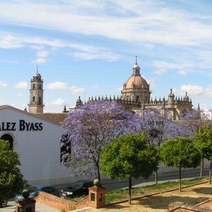 Bodegas Gonzalez Byass