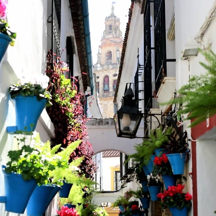 patio de flores en Córdoba
