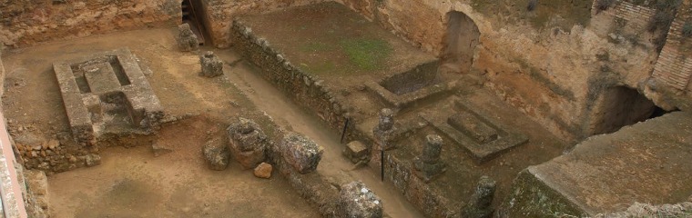 tumba elefante Carmona