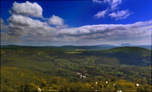 a large green field with clouds in the sky