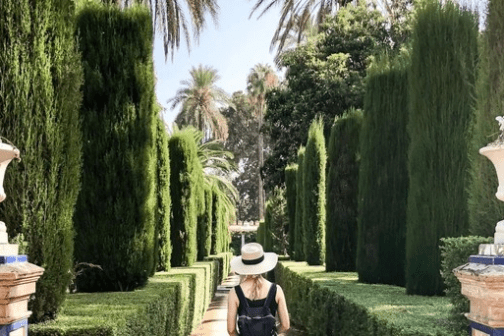 a statue in front of a tree